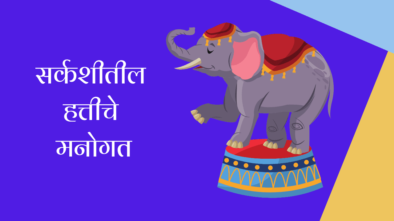 सर्कशीतील हत्तीचे मनोगत मराठी निबंध | Autobiography of Circus Elephant Essay in Marathi