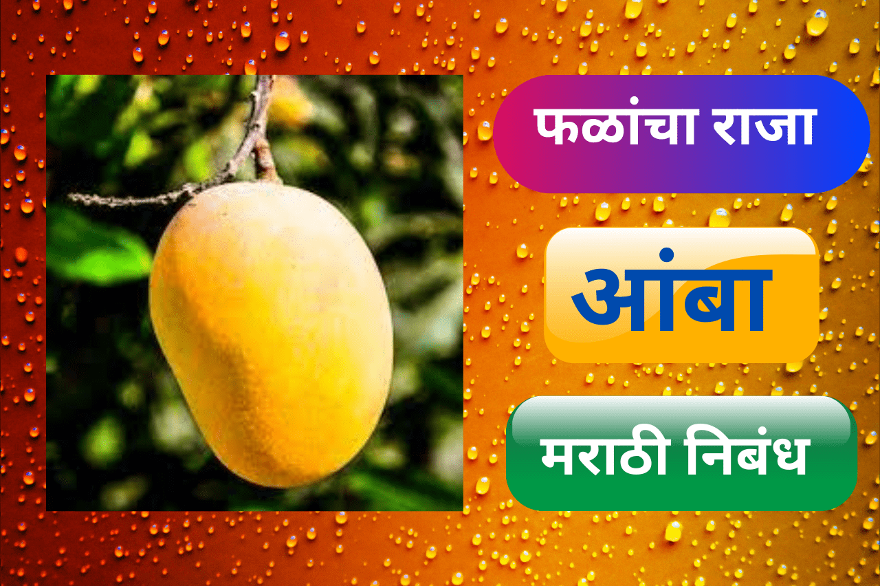 mango essay writing in marathi