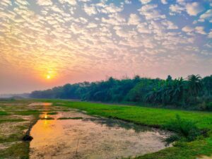 Nature view in morning time 265756 pixahive