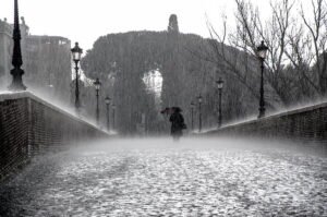 rain wet drops water preview