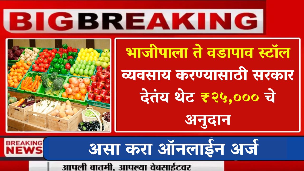 Vegetables Vada Pav Stalls Anudan Yojana