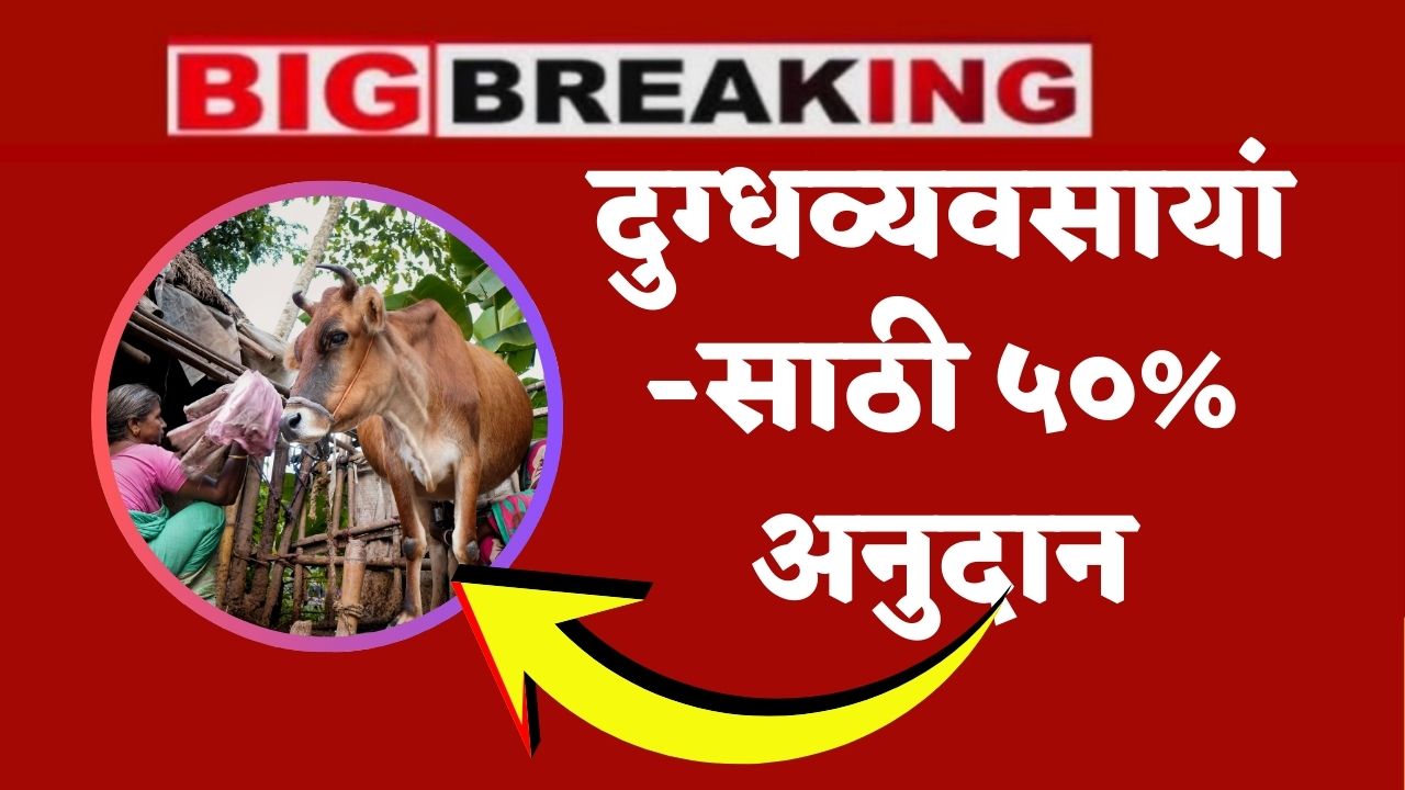 Dairy Farming